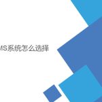 wms系統怎么選擇? wms系統怎么選擇?